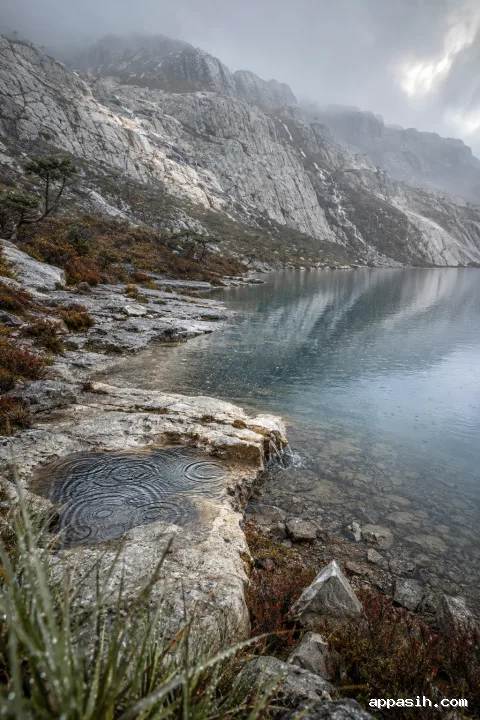 Closer portrait landscape of a rainy highland tarn with wet quartzite shelves, copper heather, silver grasses, delicate rivulets, and a pale mist-covered escarpment.